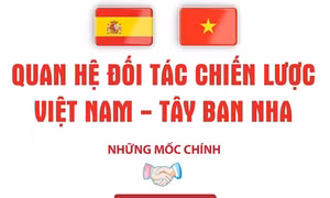 Quan hệ Đối tác chiến lược Việt Nam - Tây Ban Nha