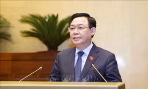 Hoàn thiện pháp luật gắn với nâng cao hiệu lực, hiệu quả tổ chức thi hành pháp luật