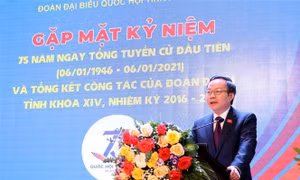 Phát huy vai trò, trách nhiệm đại biểu dân cử