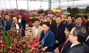 Chủ tịch Quốc hội thăm xã nông thôn mới tại tỉnh Hưng Yên