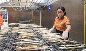 Phụ nữ vùng biên Đồng Tháp khởi nghiệp từ 'tài nguyên bản địa'