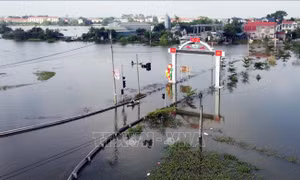 Khu vực Bắc Bộ và từ Thanh Hóa đến Nghệ An chủ động ứng phó với đợt lũ lớn