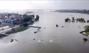 Nước sông Lô dâng cao, tỉnh Phú Thọ cấm mọi phương tiện thủy lưu thông trên sông