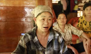 Yên Bái: Thông tin về việc ép dân vùng 3 đóng tiền làm đường giao thông nông thôn