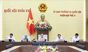 Ủy ban Thường vụ Quốc hội cho ý kiến về các dự án luật