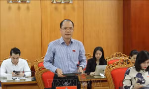 Khảo sát phục vụ thẩm tra dự án Luật Thỏa thuận quốc tế (thay thế)