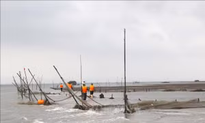 Ngăn chặn lấn chiếm bãi triều tại Móng Cái, bảo vệ nguồn lợi thủy sản