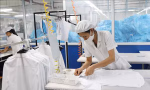 Giới chuyên gia: Việt Nam có thể là hình mẫu hoàn hảo phục hồi sau COVID-19 