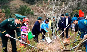 Lễ thượng cờ tại Cột cờ Quốc gia Lũng Cú và Tết trồng cây nhớ ơn Bác Hồ