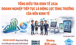Tổng điều tra kinh tế 2026: Doanh nghiệp tiếp tục là động lực tăng trưởng của nền kinh tế