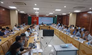 Tham vấn quốc gia Dự án thủy điện dòng chính Pak Lay của Lào ​
