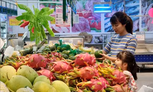 Hoạt động thương mại dịch vụ sẽ tăng trở lại dịp cuối năm