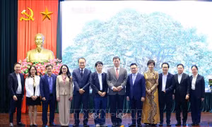 Trao đổi kinh nghiệm trong chuyển đổi số báo chí hai nước Việt Nam - Hàn Quốc