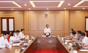 Quyết định kiểm tra, giám sát công tác cán bộ với Ban Thường vụ Tỉnh ủy Cao Bằng, Tuyên Quang