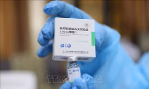 Trung Quốc cân nhắc kết hợp các loại vaccine nhằm tăng hiệu quả ngừa COVID-19