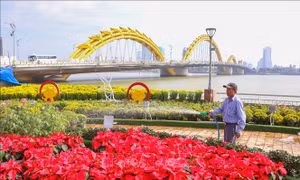 Đà Nẵng: Các điểm vui chơi công cộng được trang trí rực rỡ đón Tết 