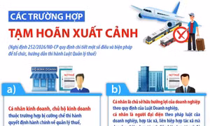 Các trường hợp tạm hoãn xuất cảnh