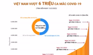 Việt Nam vượt 6 triệu ca mắc COVID-19