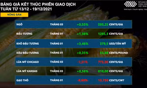 Bản tin MXV tuần 13-19/12: Thị trường phân hóa rõ rệt, giá nông sản hồi phục