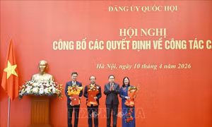 Chủ tịch Quốc hội Trần Thanh Mẫn trao quyết định chỉ định  Bí thư Đảng ủy 3 cơ quan của Quốc hội