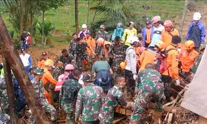 Thêm hàng chục người thiệt mạng do sạt lở đất tại Indonesia