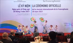 Việt Nam chủ động tham gia củng cố tình đoàn kết trong không gian Pháp ngữ