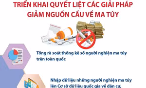 Triển khai quyết liệt các giải pháp giảm nguồn cầu về ma túy