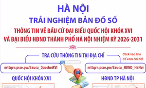 Trải nghiệm bản đồ số thông tin về bầu cử đại biểu Quốc hội khóa XVI và đại biểu HĐND TP Hà Nội 