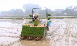 Bảo đảm cấp đủ nước cho vụ Đông Xuân sau khi đợt 3 lấy nước kết thúc
