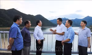 Năm công trình thủy điện trên sông Đà đủ điều kiện tham gia chống lũ, tích nước 
