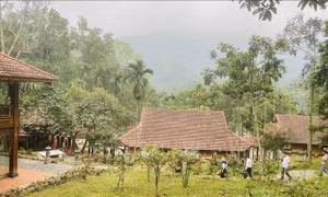 Yên Bài - 'tọa độ xanh' giữa lòng Hà Nội