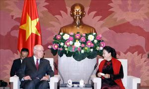 Chủ tịch Quốc hội Nguyễn Thị Kim Ngân: Thúc đẩy hợp tác giữa Quốc hội Việt Nam với Thượng viện Hoa Kỳ 