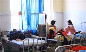 99 trẻ em phải cấp cứu sau khi ăn quà từ thiện tại Lâm Đồng