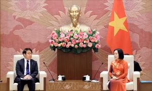 Thúc đẩy hợp tác Việt Nam - Nhật Bản trong khoa học, công nghệ và đào tạo nhân lực
