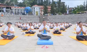 Đồng diễn 'Yoga - Sa Pa trong sương'