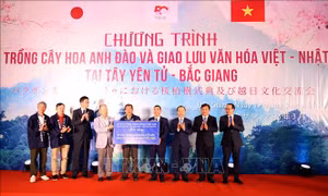 Giao lưu văn hóa gắn kết tình hữu nghị Việt Nam - Nhật Bản 