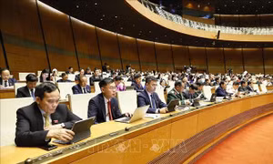 Quốc hội bỏ phiếu phê chuẩn việc bổ nhiệm Bộ trưởng Bộ Nội vụ đối với ông Nguyễn Tiến Hải
