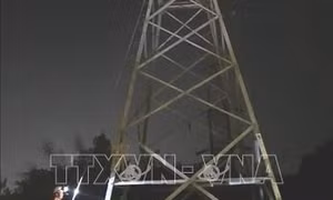 Quảng Ninh: Khẩn trương khắc phục sự cố đường dây 110kV cấp điện do ảnh hưởng cháy rừng