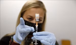 Pfizer/BioNTech sẽ sớm chuyển giao vaccine ngừa biến thể Omicron cho Mỹ