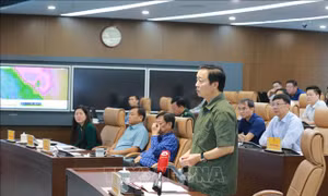 Phó Thủ tướng Trần Hồng Hà chỉ đạo công tác ứng phó với bão số 6