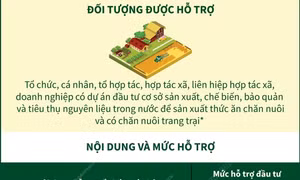 3 chính sách hỗ trợ phát triển chăn nuôi từ ngày 20/9/2024
