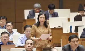 Cần lộ trình xử lý dứt điểm vụ việc khiếu nại, tố cáo phức tạp, tồn đọng kéo dài