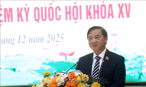 Cần cụ thể hóa và tổ chức thực hiện hiệu quả các Luật