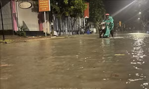 Sóng đánh tràn bờ kè gây ngập úng khu dân cư ở Quảng Ngãi