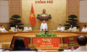 Ban Chỉ đạo 35 Đảng ủy Chính phủ triển khai nhiệm vụ công tác trọng tâm 6 tháng cuối năm