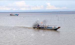 Kiên Giang mở đợt cao điểm kiểm tra hoạt động khai thác thủy sản 