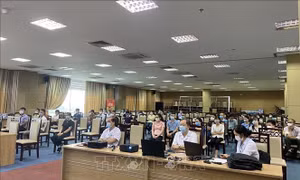 Hướng dẫn cán bộ y tế các địa phương chẩn đoán, chăm sóc, điều trị bệnh nhân COVID-19