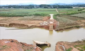 Tái thiết cuộc sống cho người dân vùng thiên tai