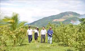 Nông trại Phạm Văn Đồng - 'địa chỉ đỏ' mở hướng phát triển du lịch xanh