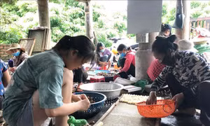 Trăn trở mùa nhãn chín - Bài cuối: Giấc mơ mùa quả ngọt